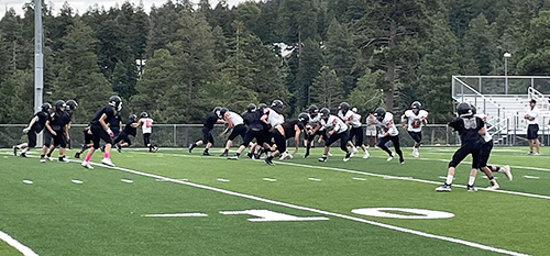 football players on the field