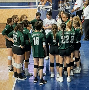 volleyball team